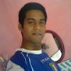 sunnyrex