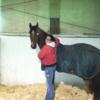 Cowgirlup1269
