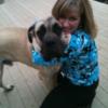 Mastiff4