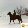 farrier47
