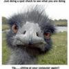 bucuresti's photo