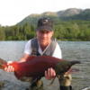 hogsalmon