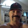 HarleyDavisons