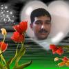 shamsher3's photo