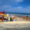danioliva's photo