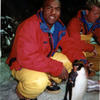 Gentoo's photo