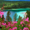 internationalmom's photo