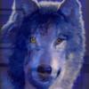 Lonesomewolf29