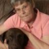 SeniorSue59's photo