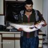lazman's photo