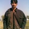 Shoaib79366