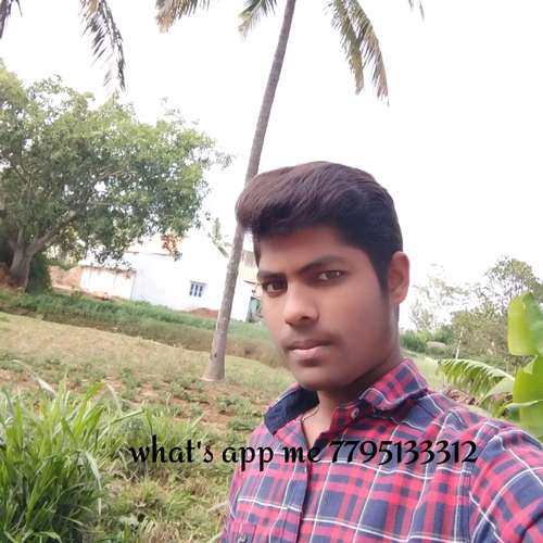 56925131 9293