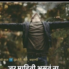 37093754 6151