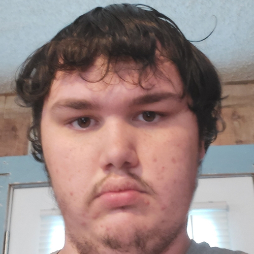 49089279 8385