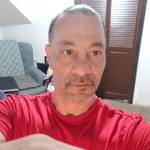 Sensual wolf's photo