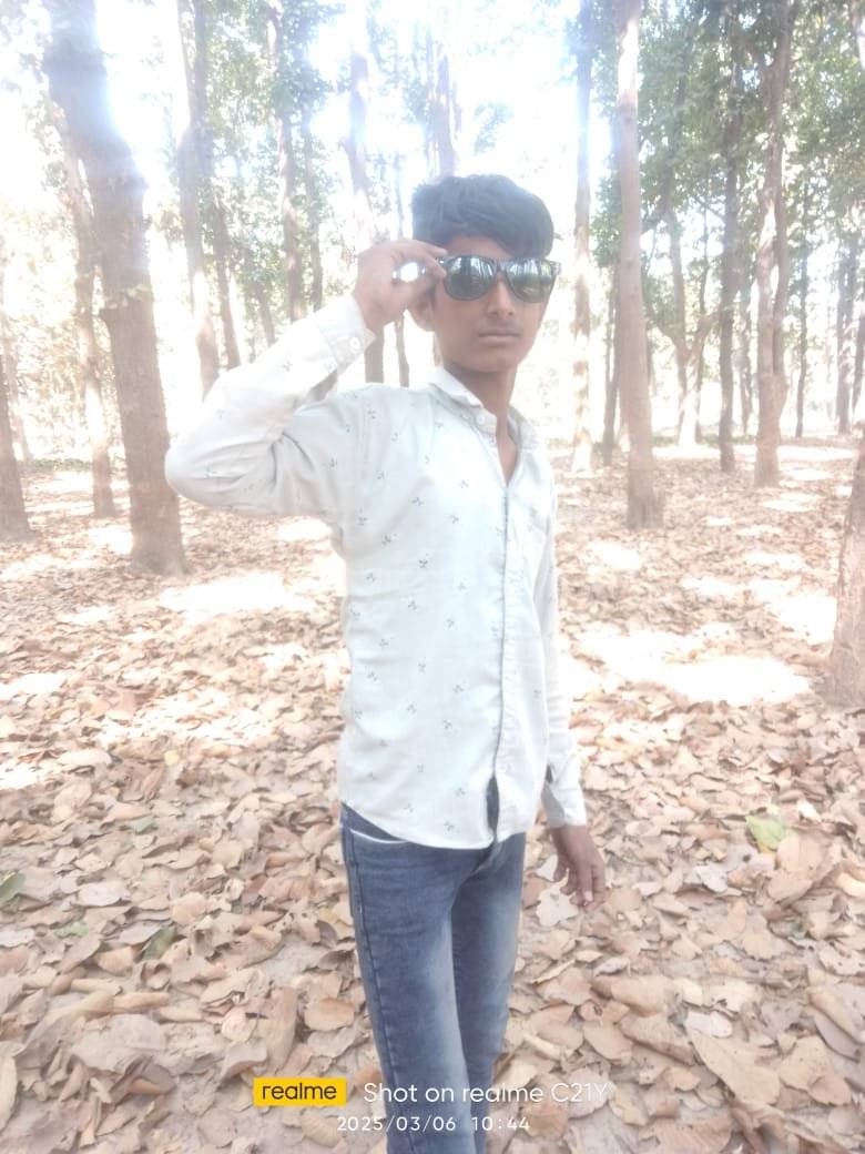 86416295 505 medium large