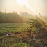 Niraj Sharma's photo