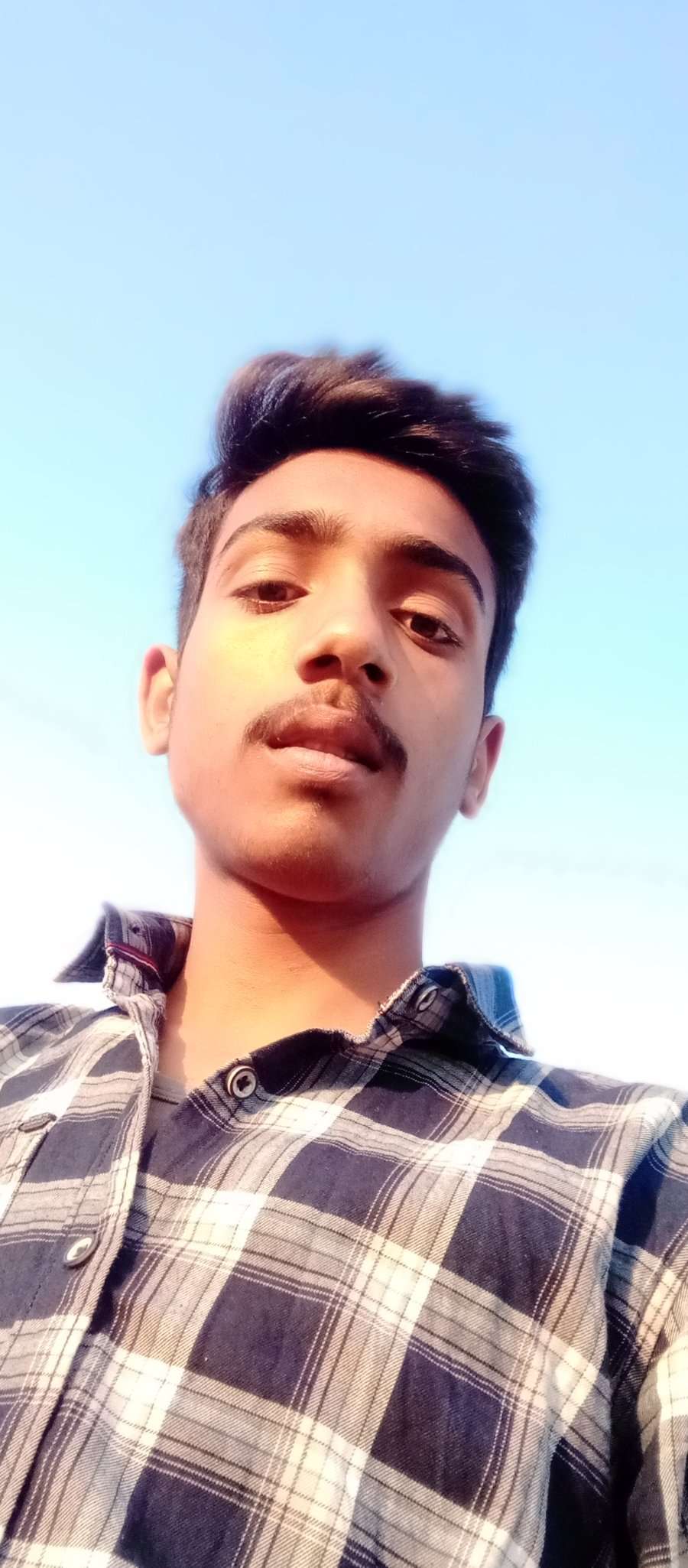 87333164 8117 medium large