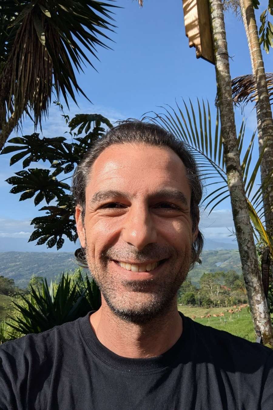 92414702 1253 medium large