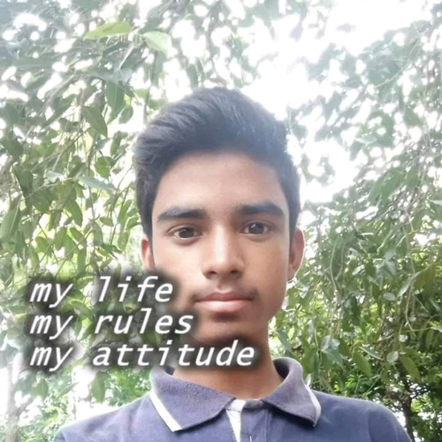 50600285 9761
