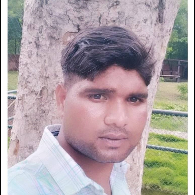 80797366 6515 medium large