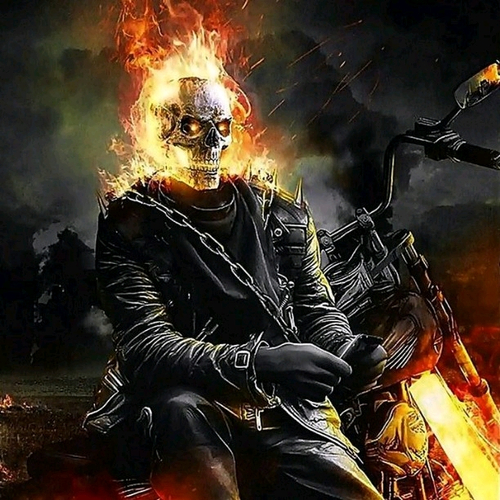65256269 3686