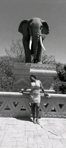 68920139 5168