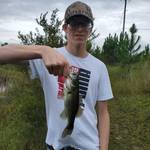 Bradley Seale's photo