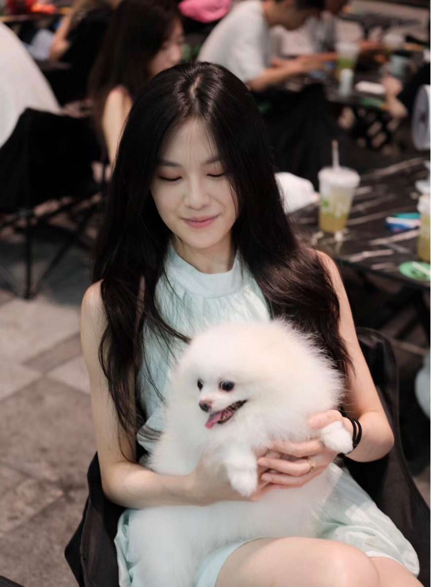 75724509 442 medium large