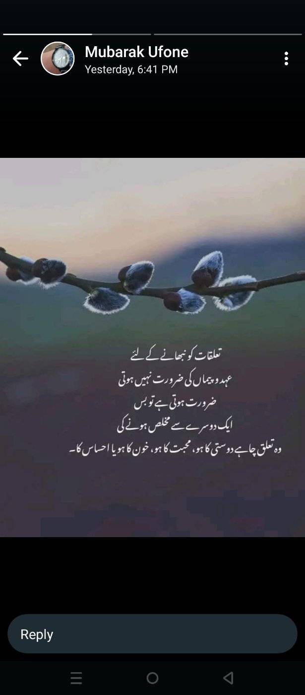 83034875 3108 medium large