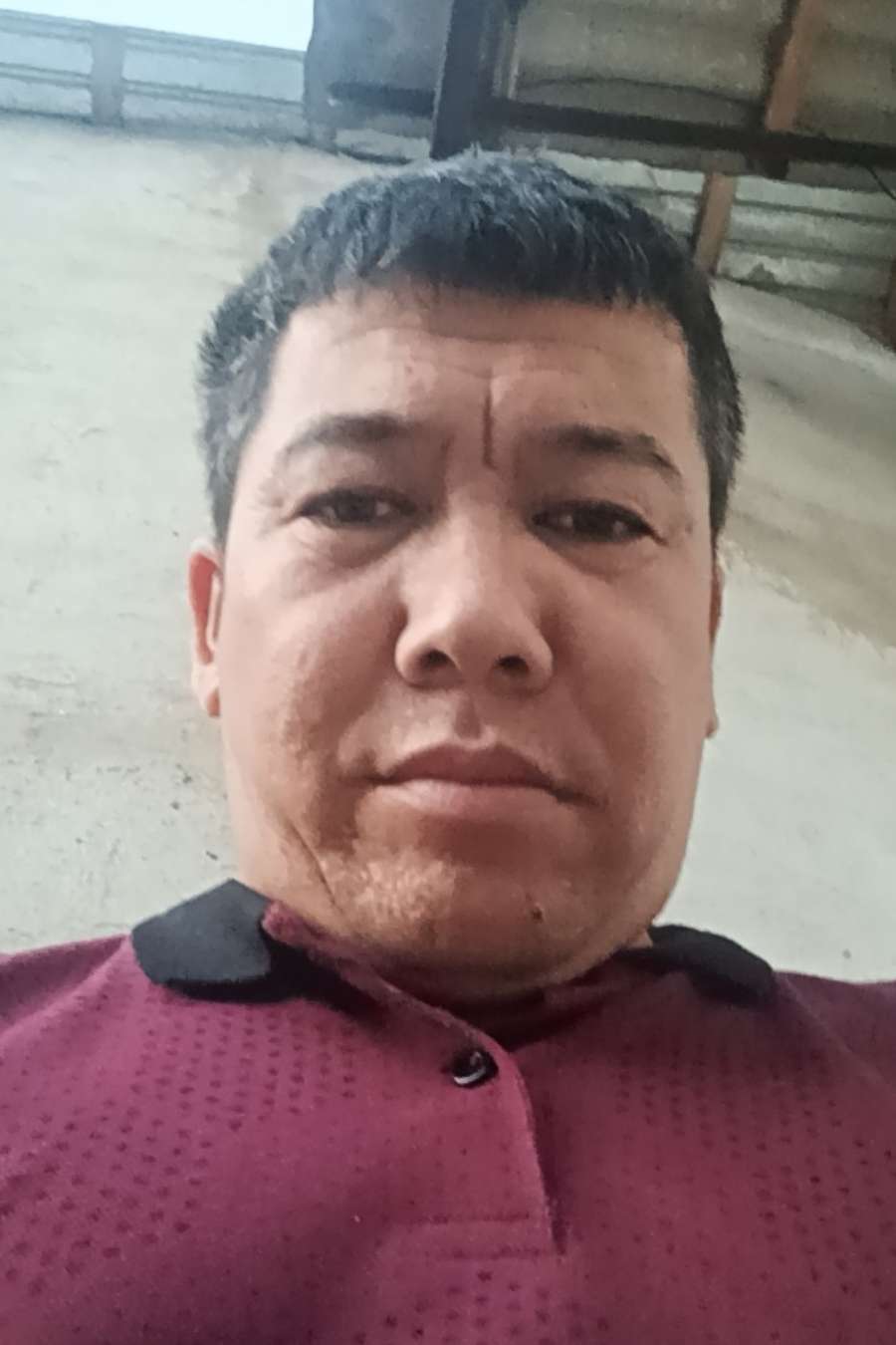 88602865 8699 medium large