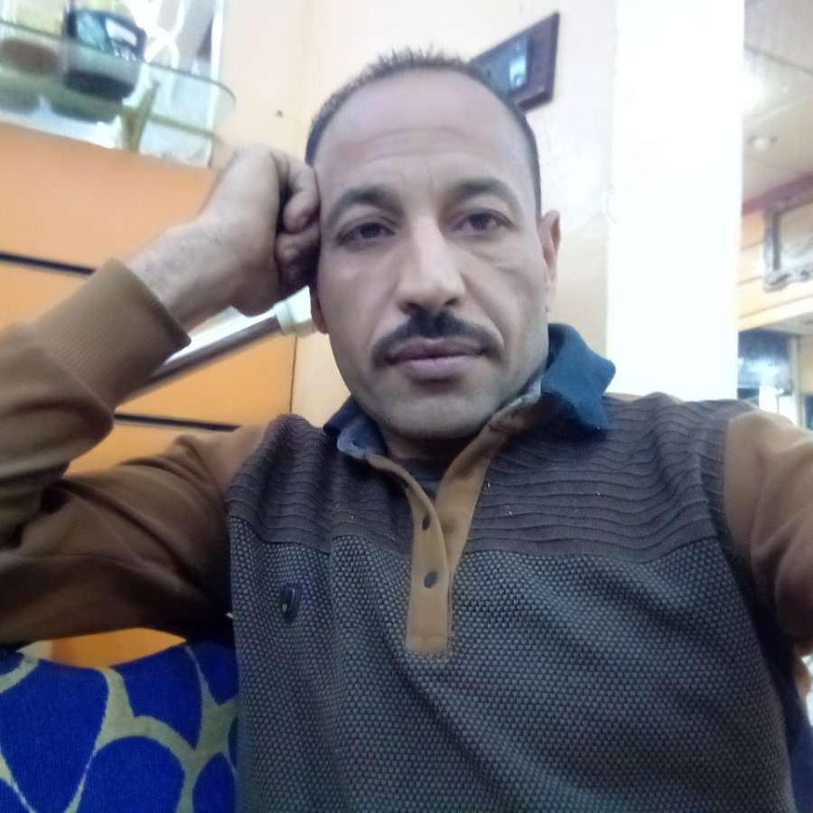 81030099 4431 medium large
