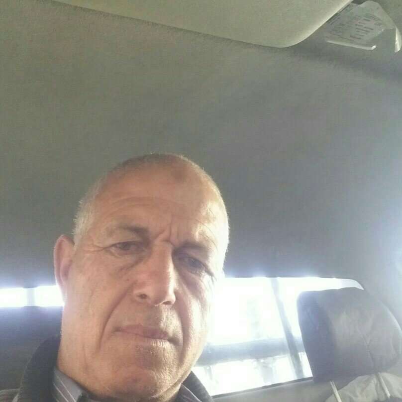 87647498 337 medium large