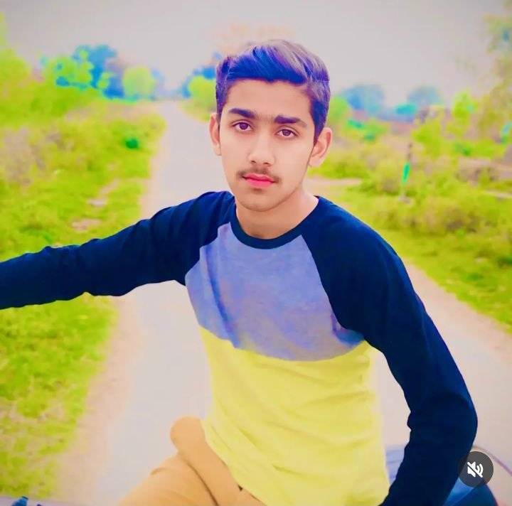 86411355 7156 medium large