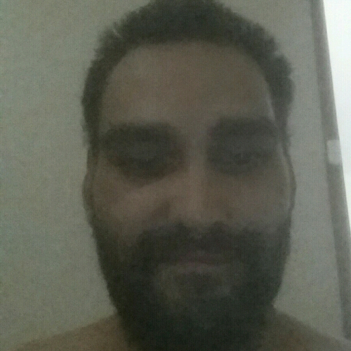 51899280 2193