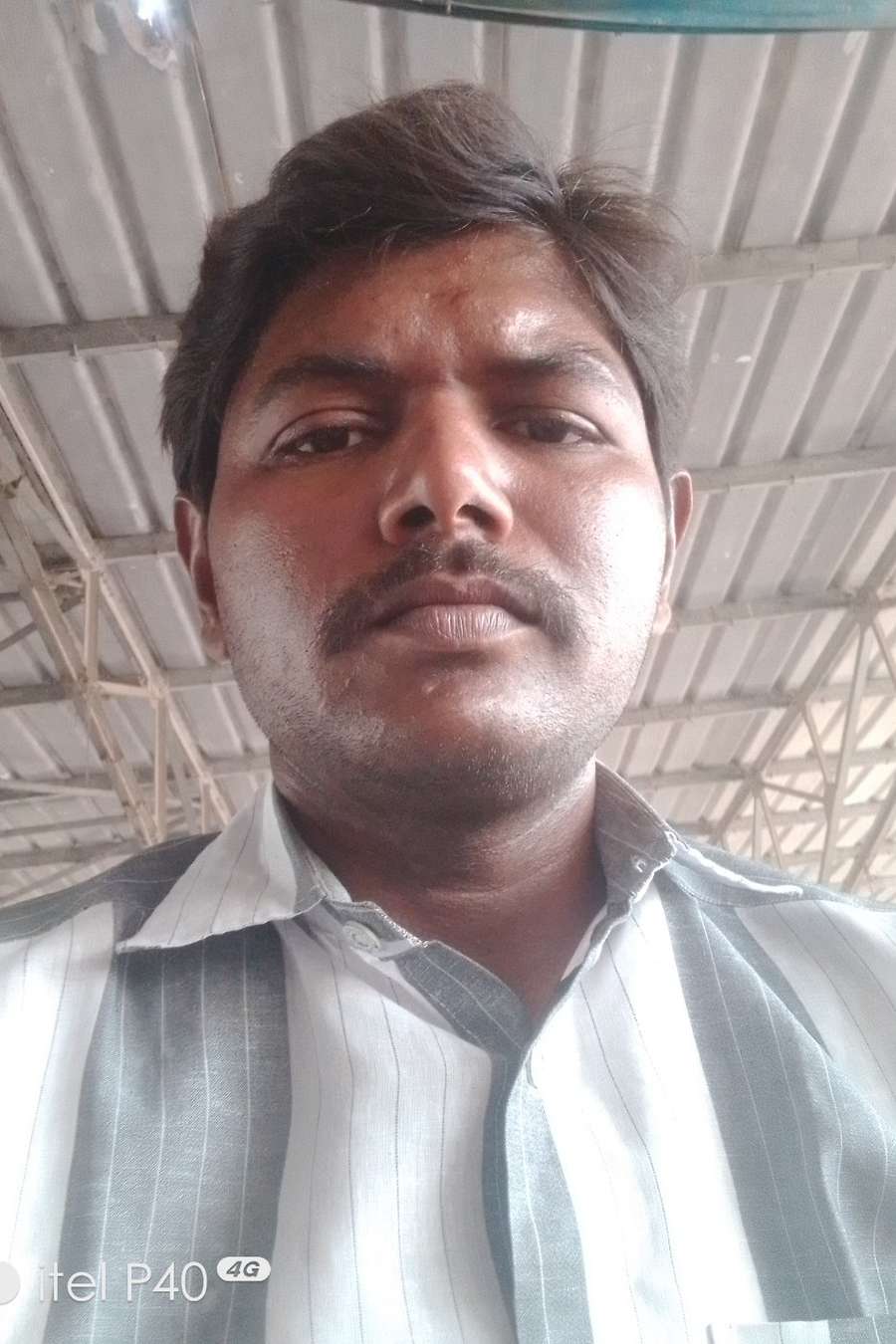 86308026 2536 medium large