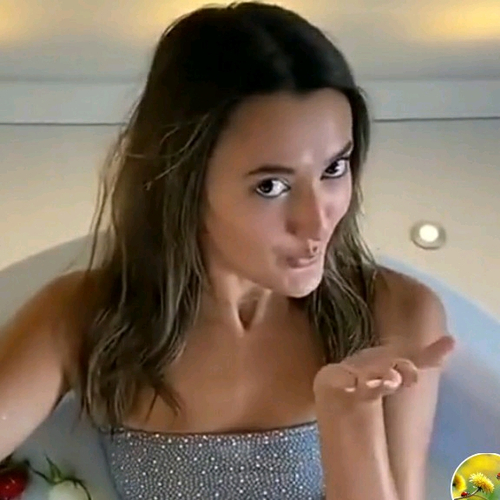 68427706 3018