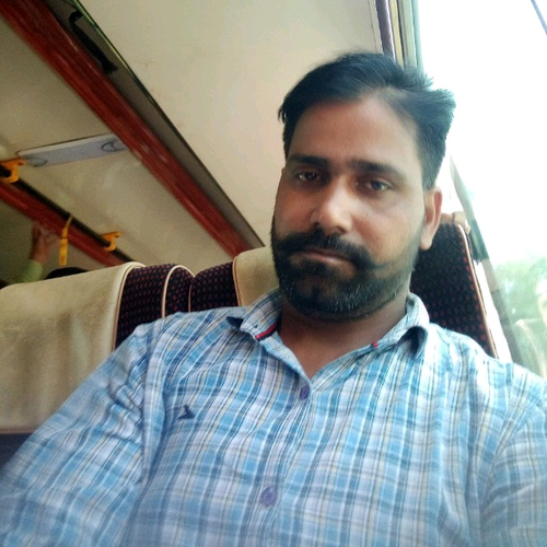 72319743 5203