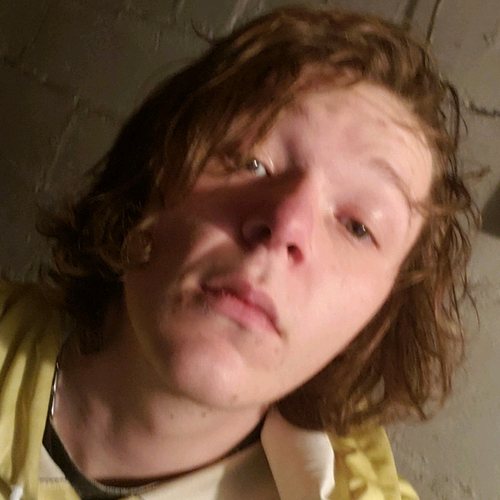 31276333 2284