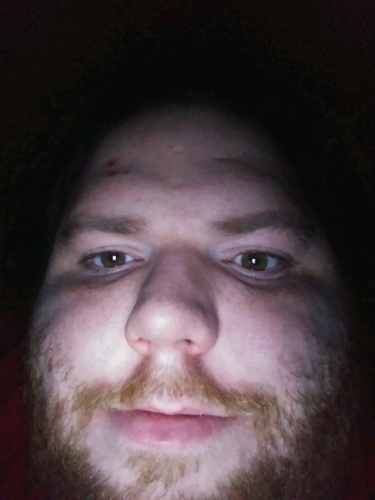 53296317 161