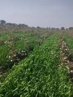 King of Makwana's photo