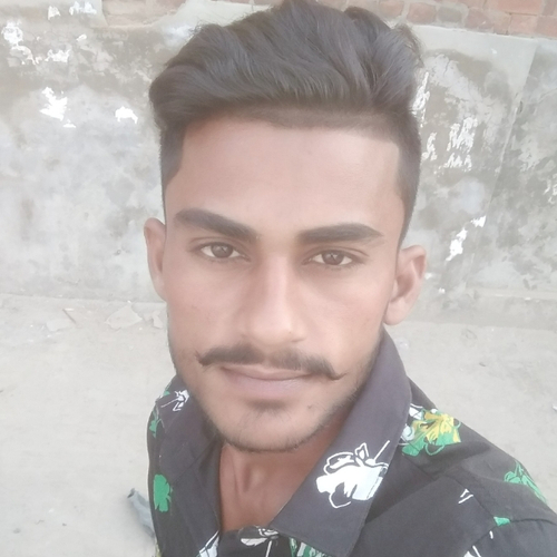 48841531 3830