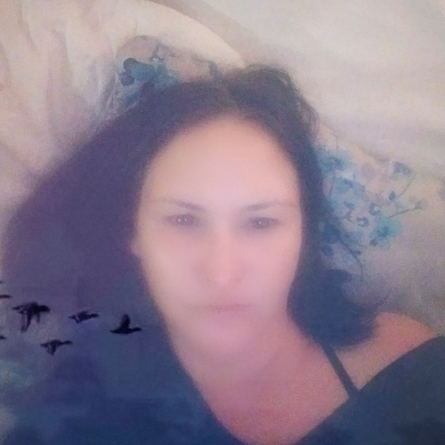 49490826 248
