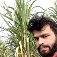 Dinesh Kajla's photo