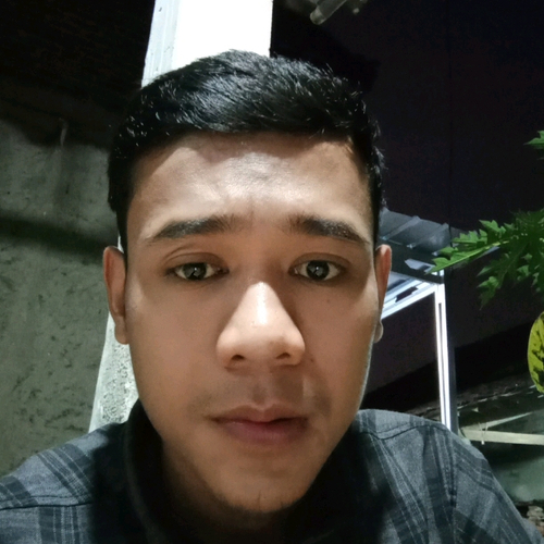 50736196 1995