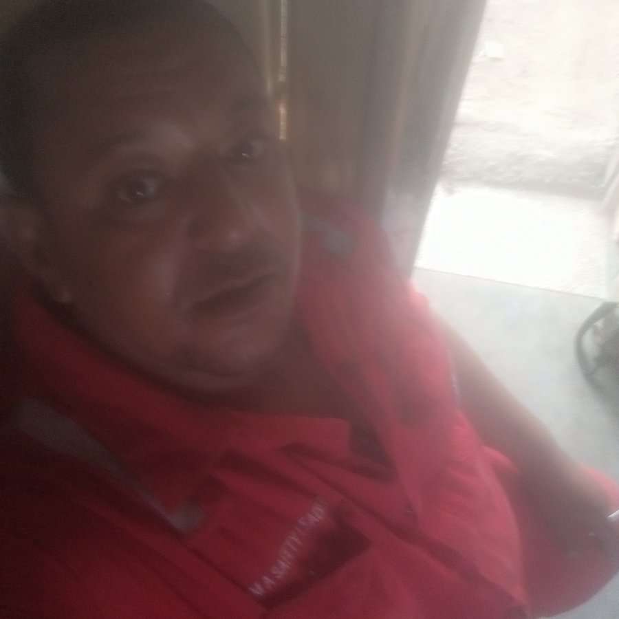 83149034 1233 medium large