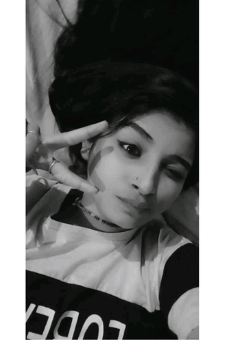 55514686 8633