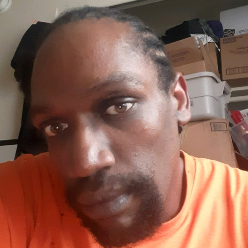 50035598 4381