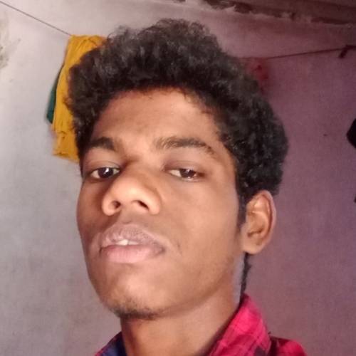 41116669 5958