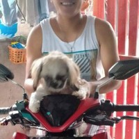 lycans jonas's photo